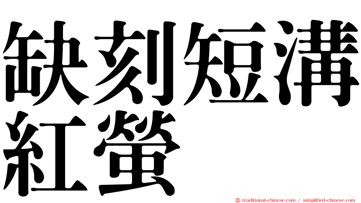 缺刻短溝紅螢