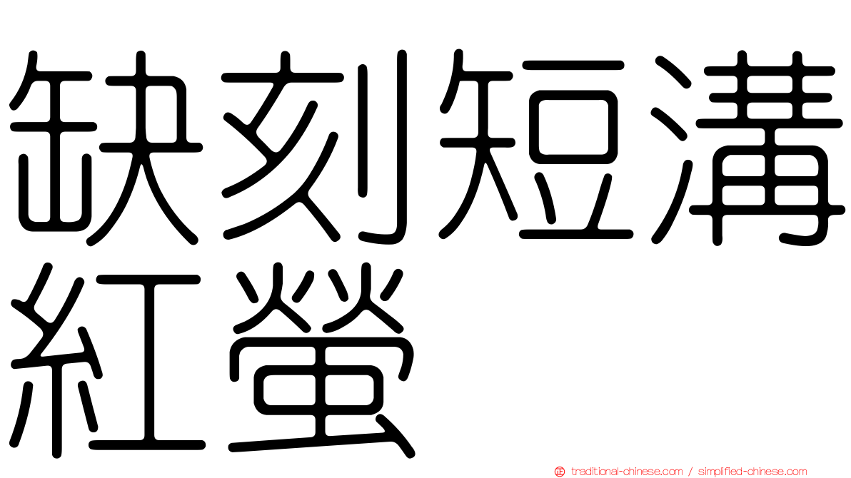 缺刻短溝紅螢