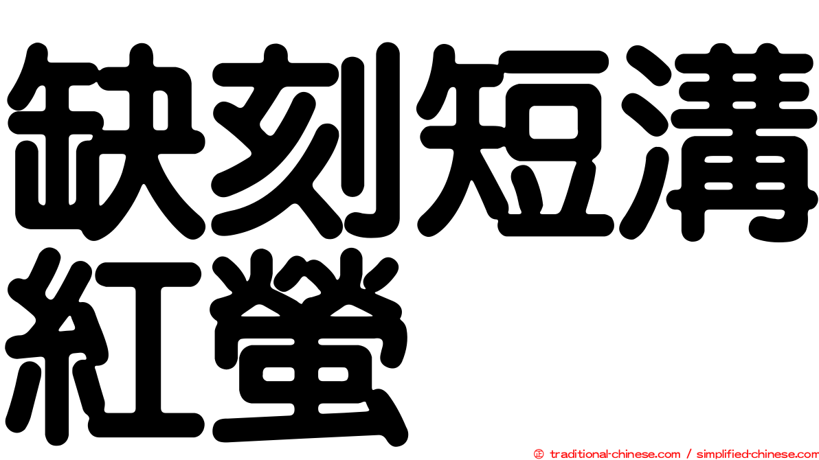 缺刻短溝紅螢