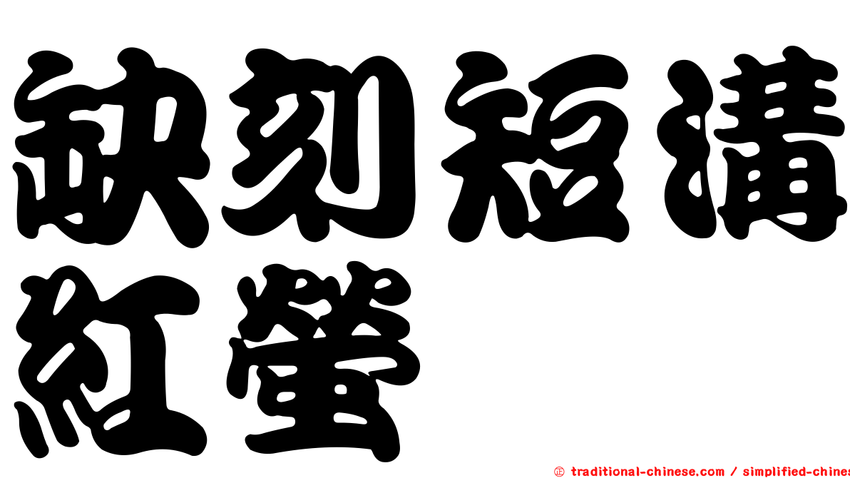 缺刻短溝紅螢