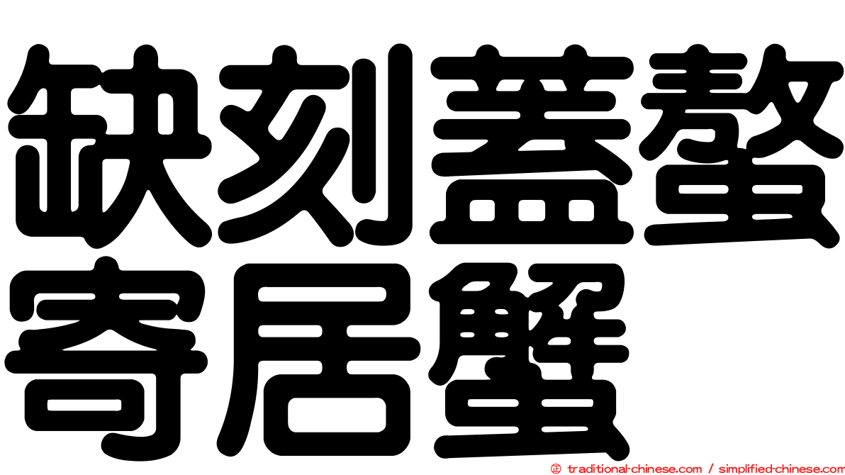 缺刻蓋螯寄居蟹
