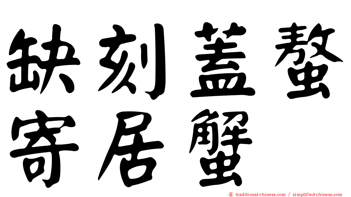 缺刻蓋螯寄居蟹