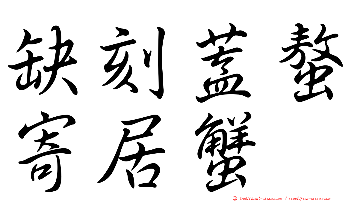 缺刻蓋螯寄居蟹