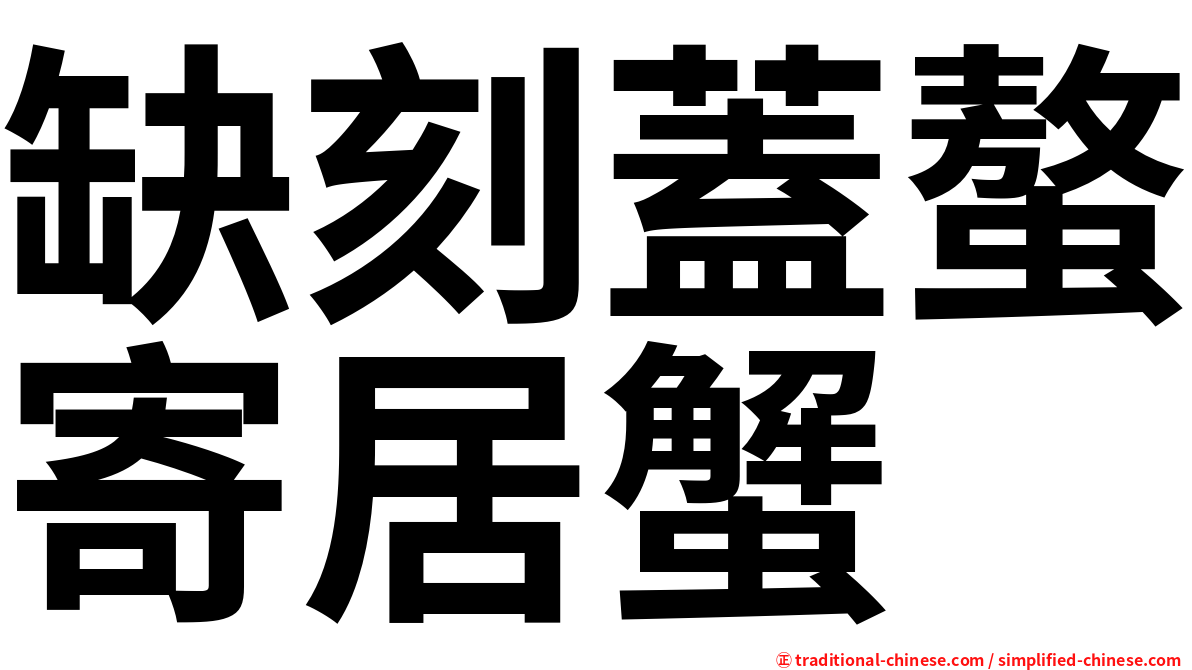缺刻蓋螯寄居蟹