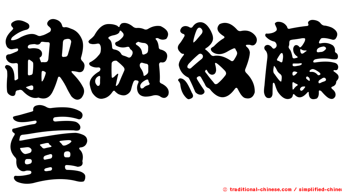缺斑紋藤壺