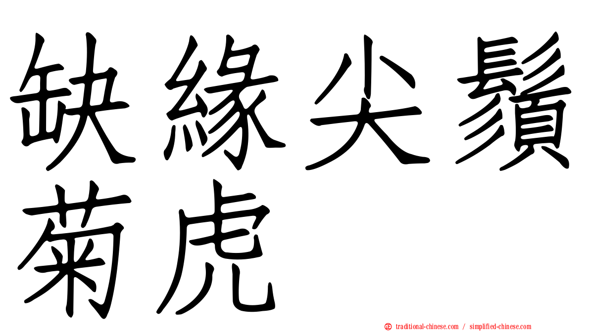 缺緣尖鬚菊虎