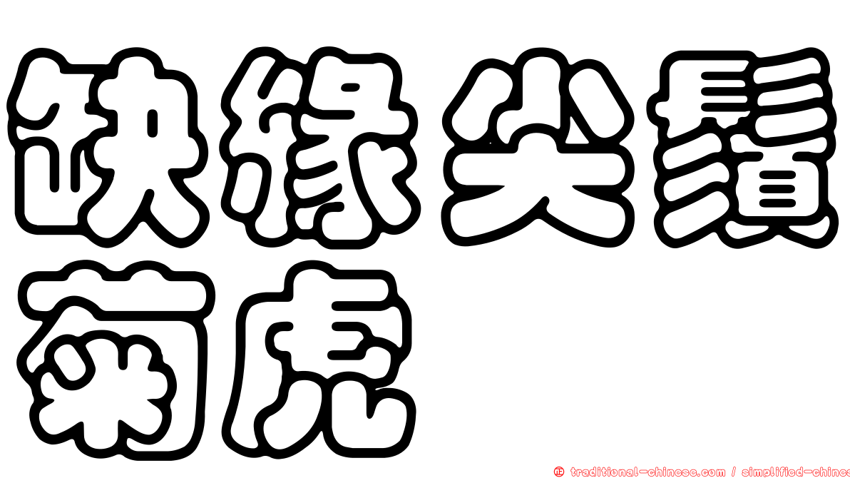 缺緣尖鬚菊虎