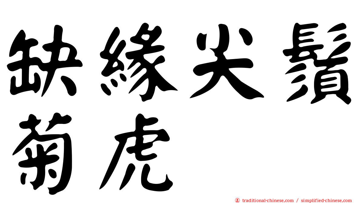 缺緣尖鬚菊虎