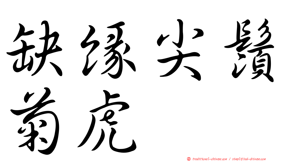 缺緣尖鬚菊虎