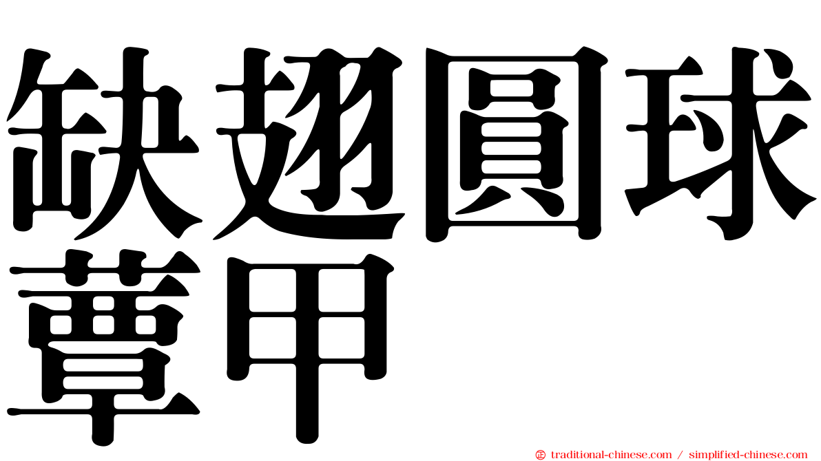 缺翅圓球蕈甲