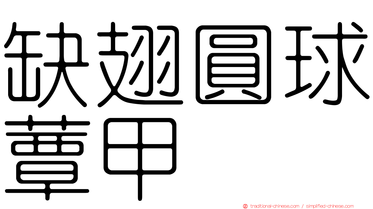 缺翅圓球蕈甲