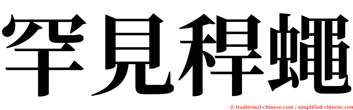罕見稈蠅 serif font