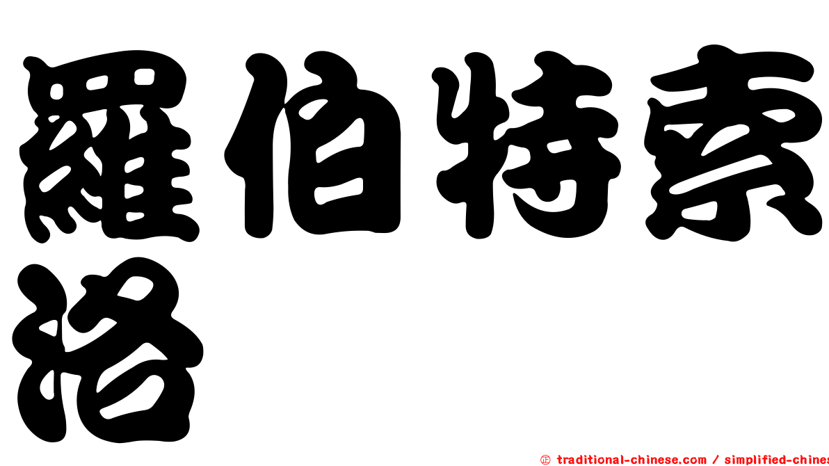 羅伯特索洛