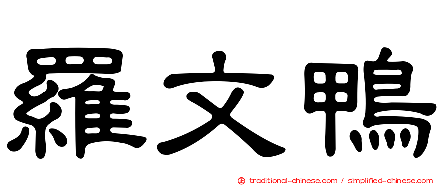 羅文鴨
