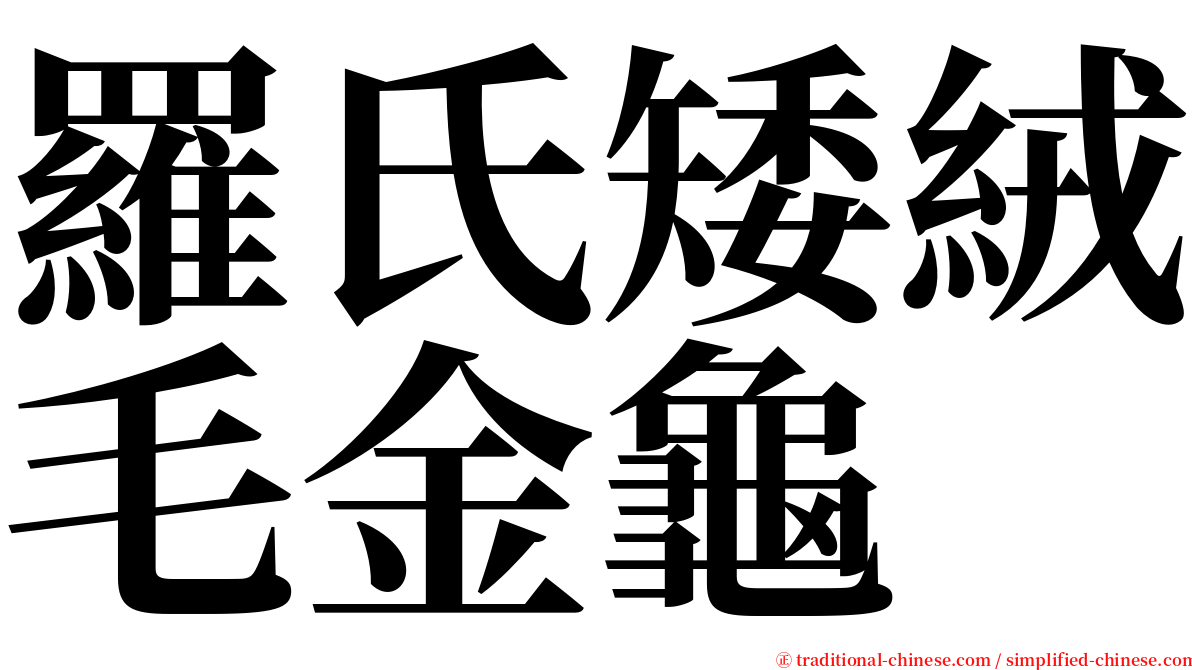 羅氏矮絨毛金龜 serif font