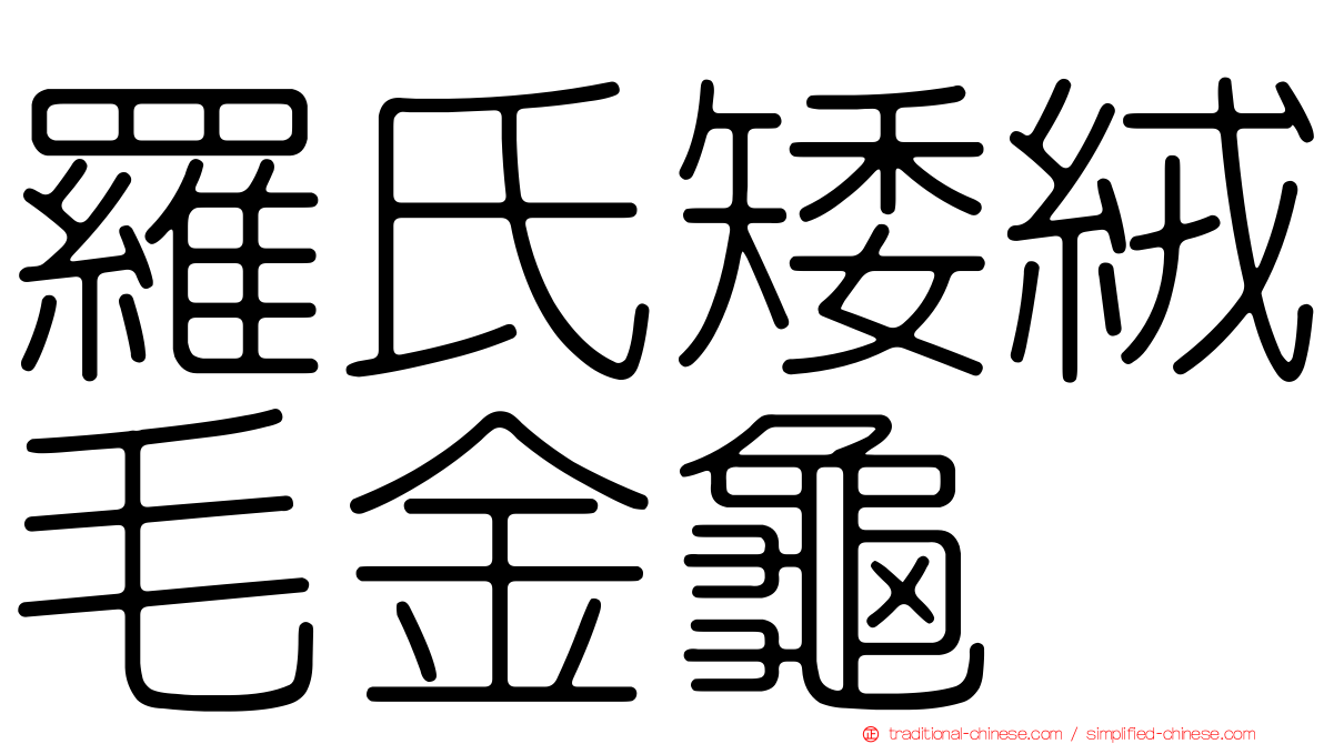 羅氏矮絨毛金龜