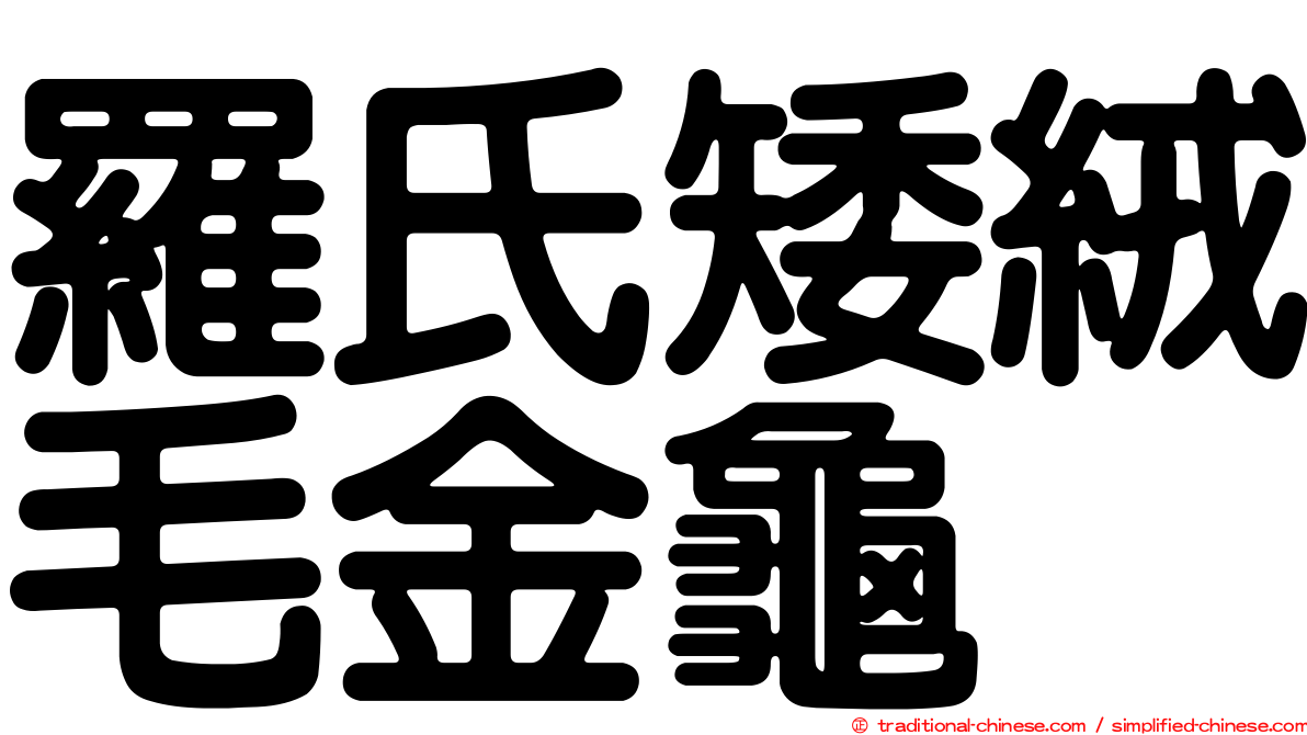 羅氏矮絨毛金龜