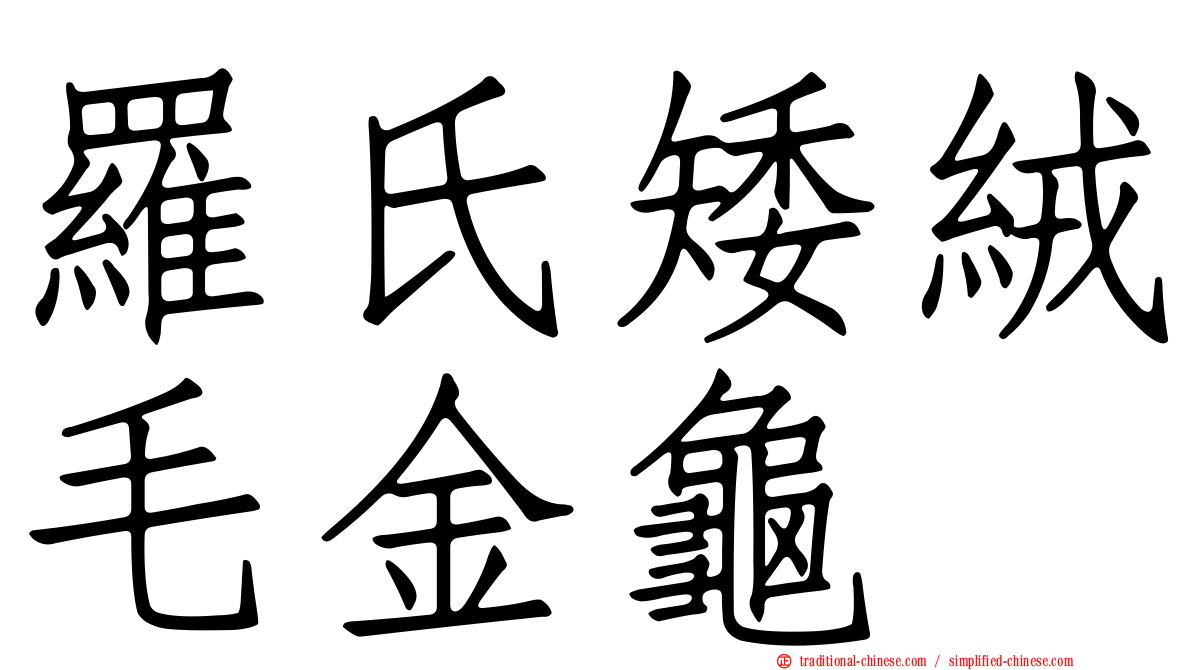 羅氏矮絨毛金龜