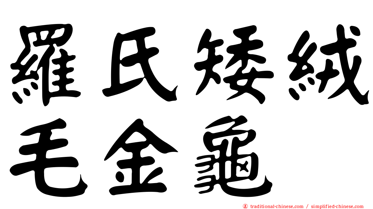 羅氏矮絨毛金龜