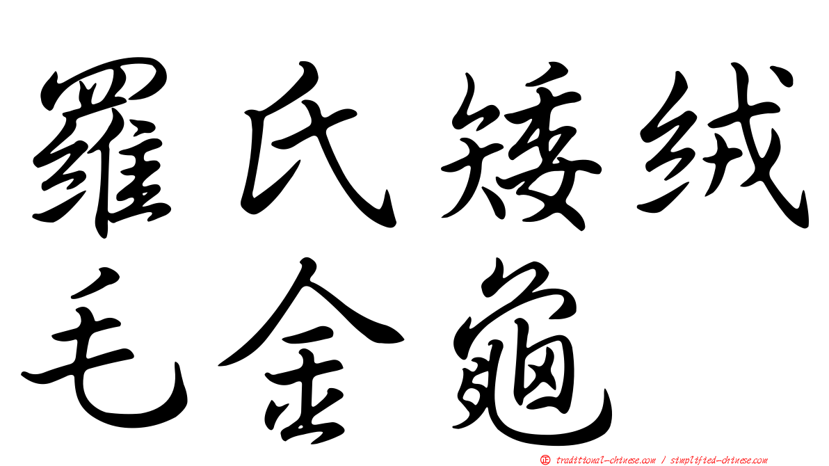 羅氏矮絨毛金龜