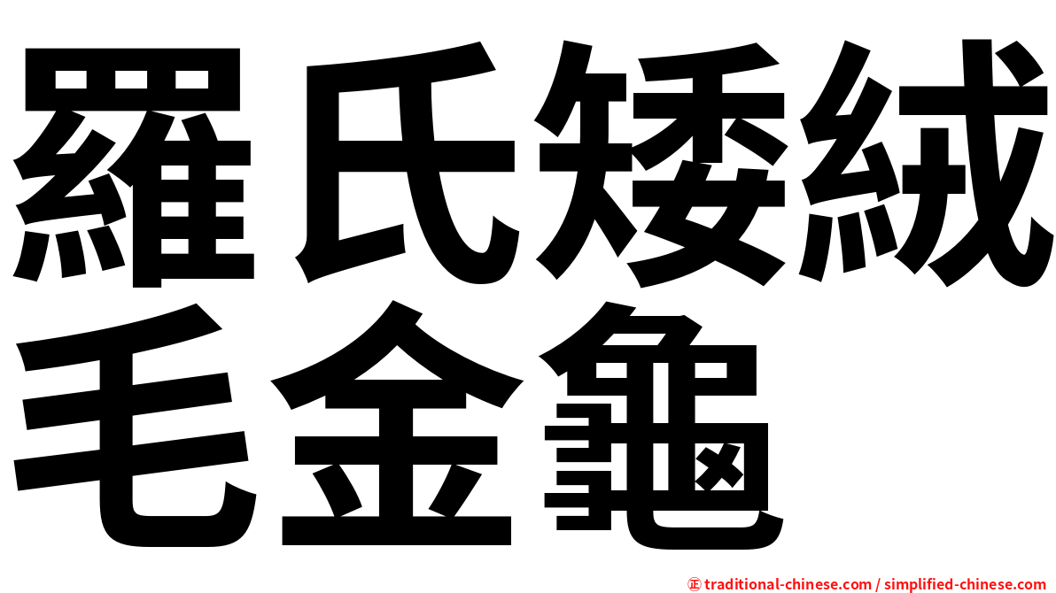 羅氏矮絨毛金龜