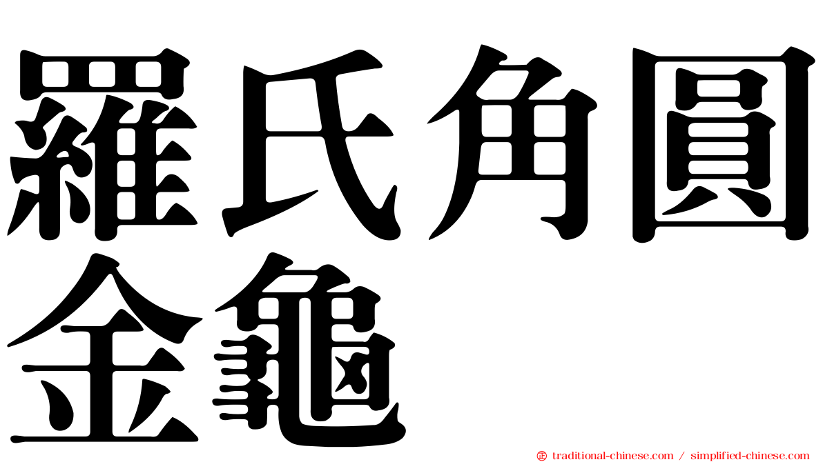 羅氏角圓金龜