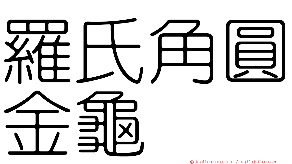 羅氏角圓金龜