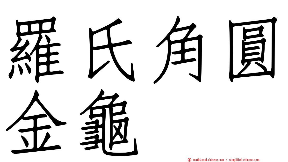 羅氏角圓金龜