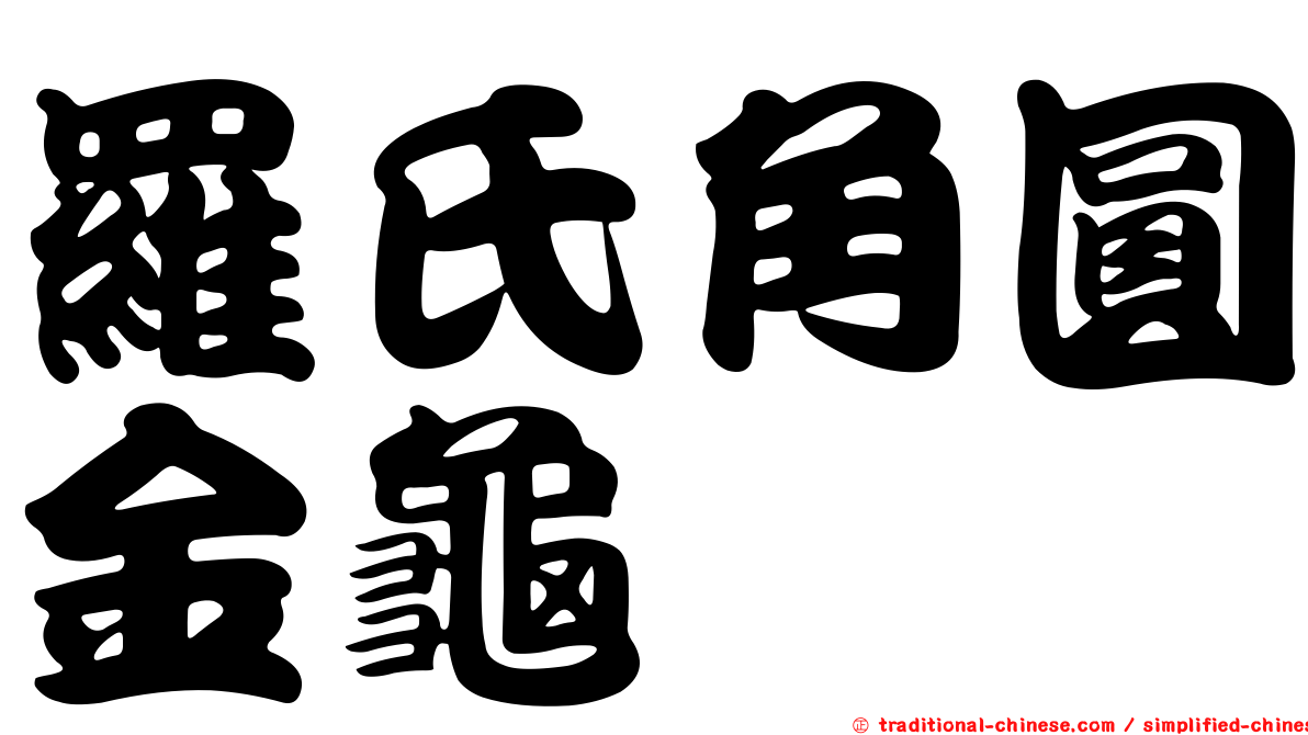 羅氏角圓金龜