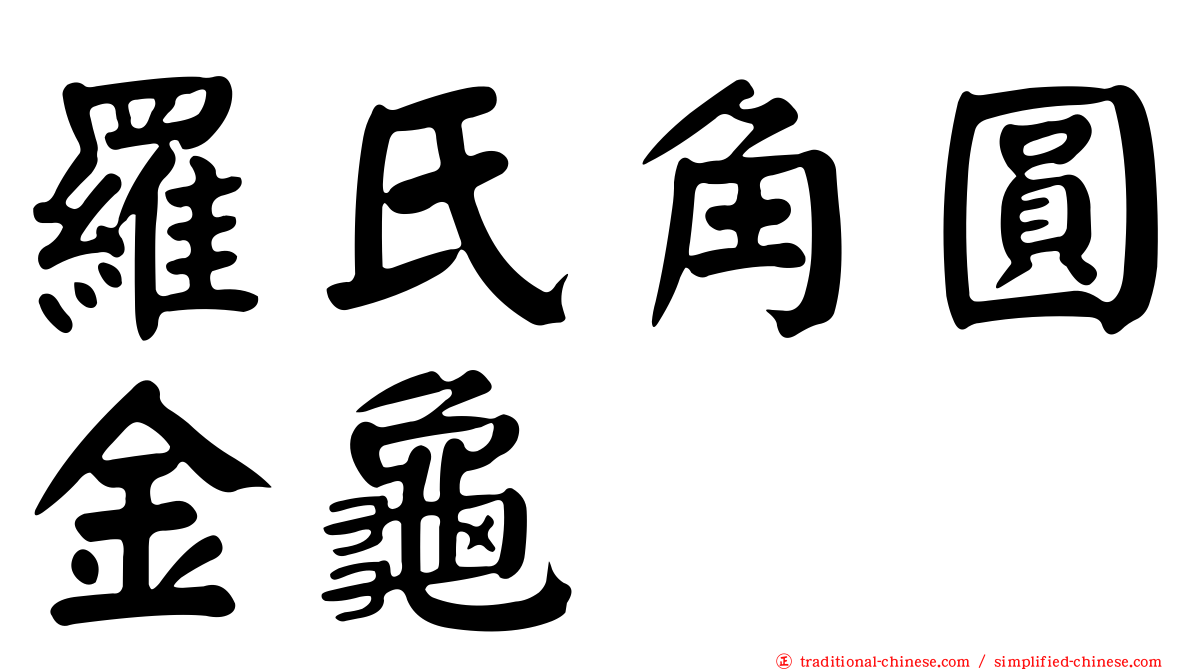 羅氏角圓金龜