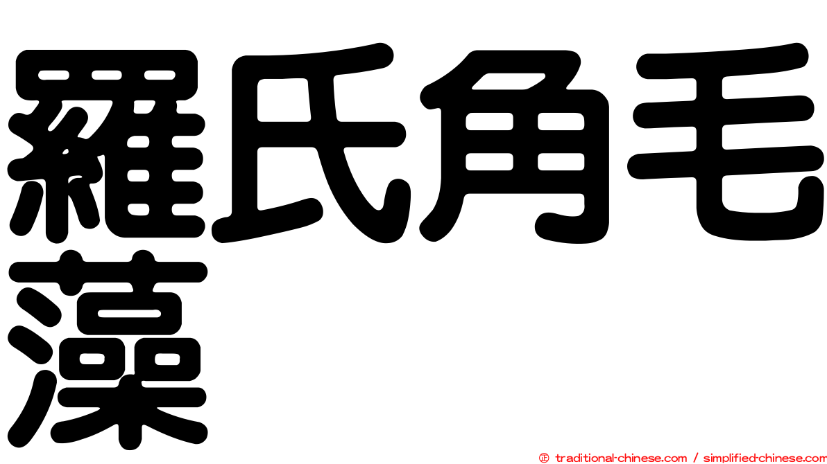 羅氏角毛藻