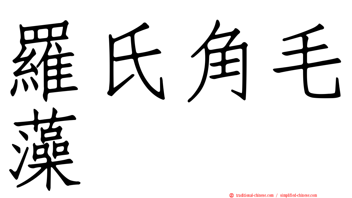 羅氏角毛藻