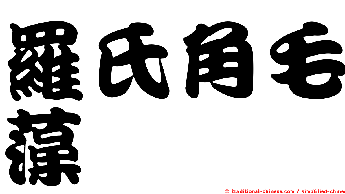 羅氏角毛藻
