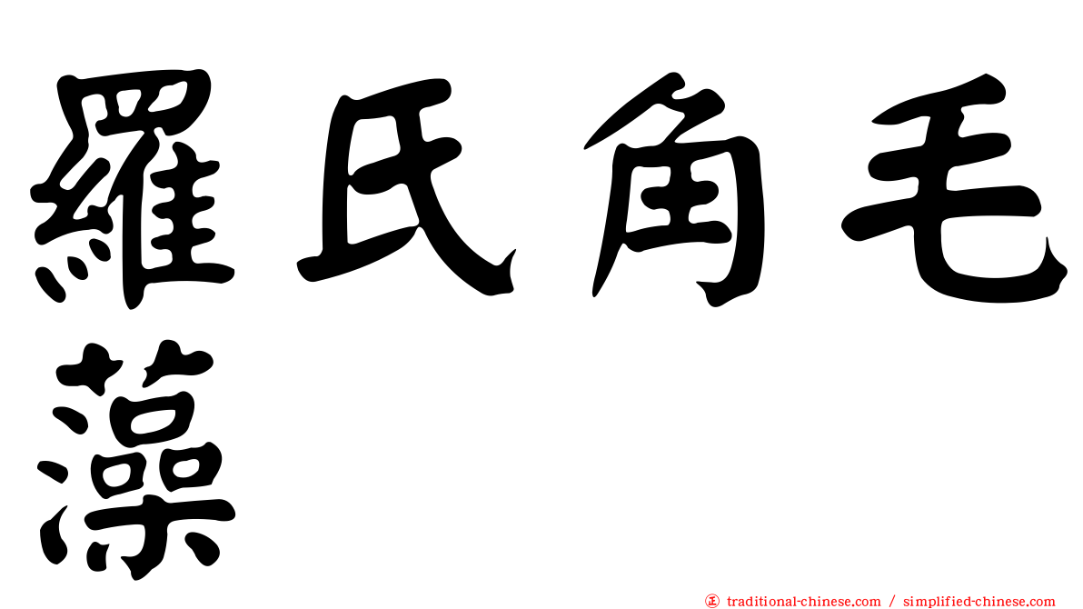 羅氏角毛藻