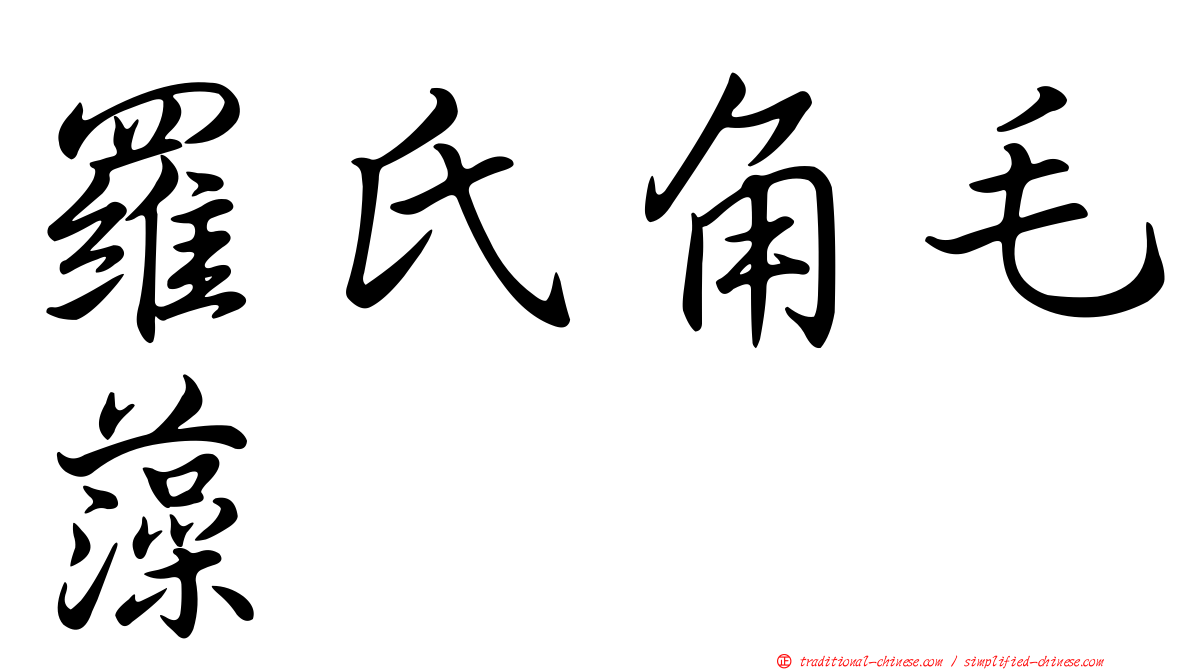 羅氏角毛藻
