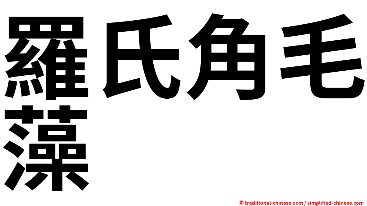 羅氏角毛藻