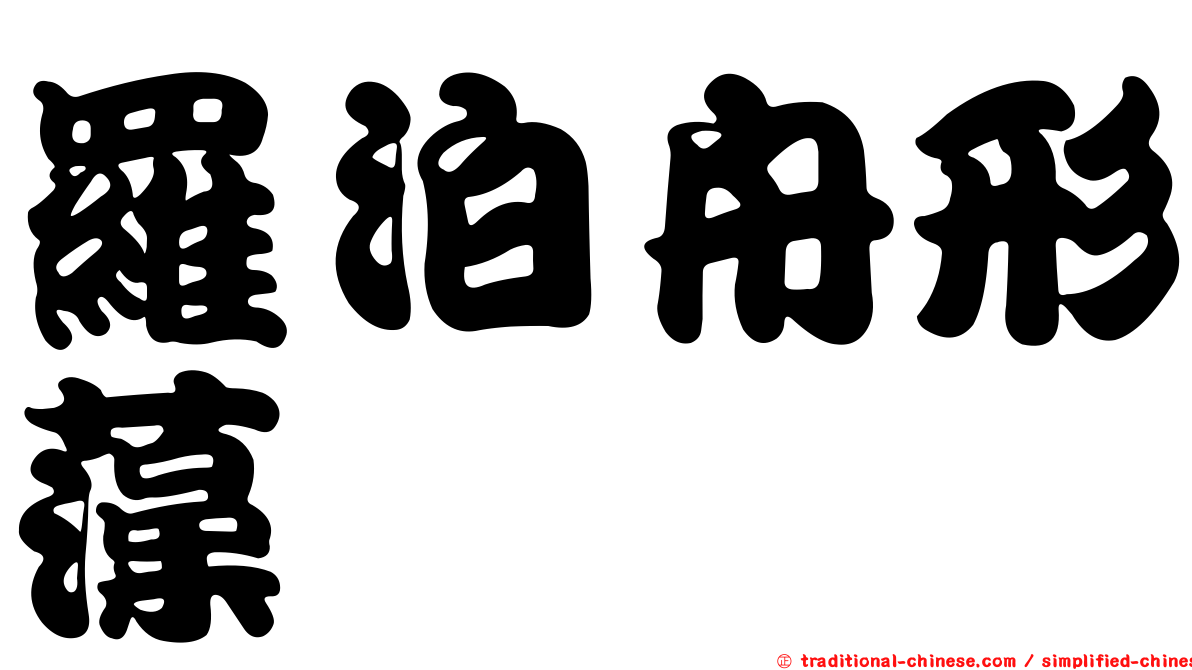 羅泊舟形藻