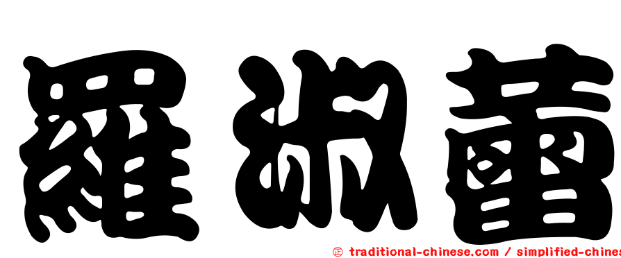羅淑蕾