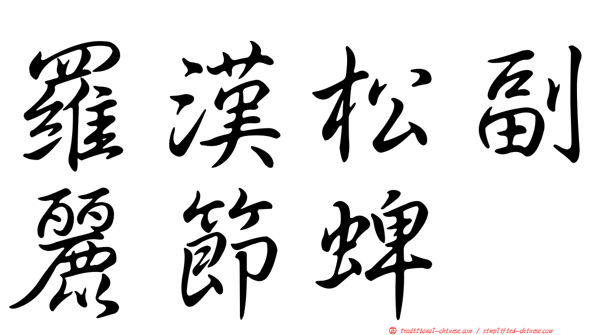 羅漢松副麗節蜱