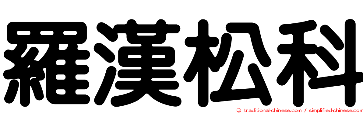 羅漢松科