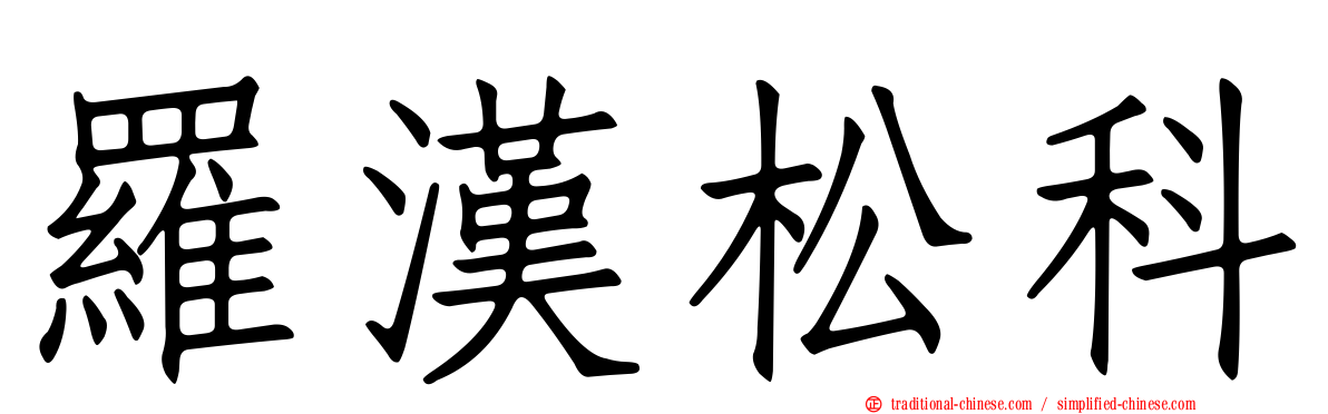 羅漢松科