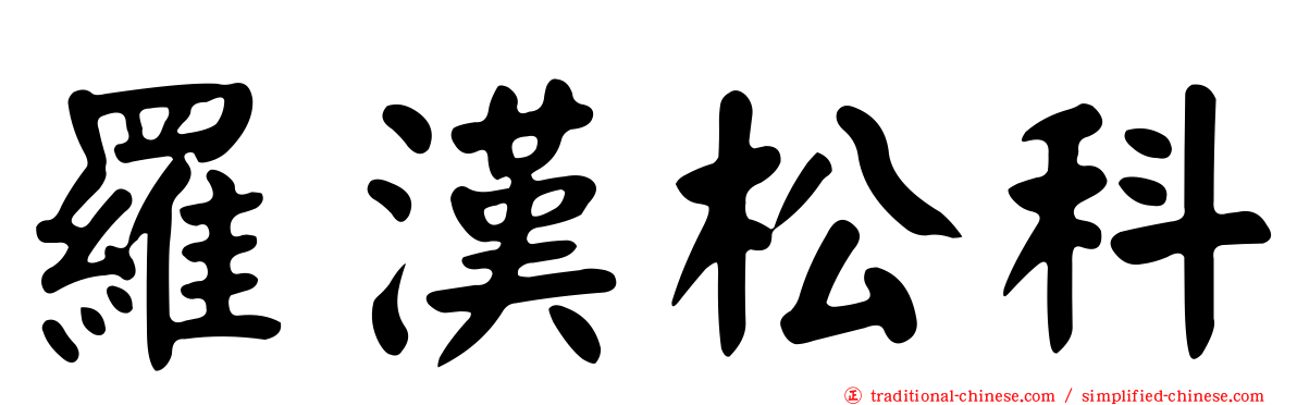 羅漢松科