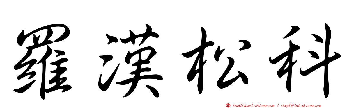 羅漢松科