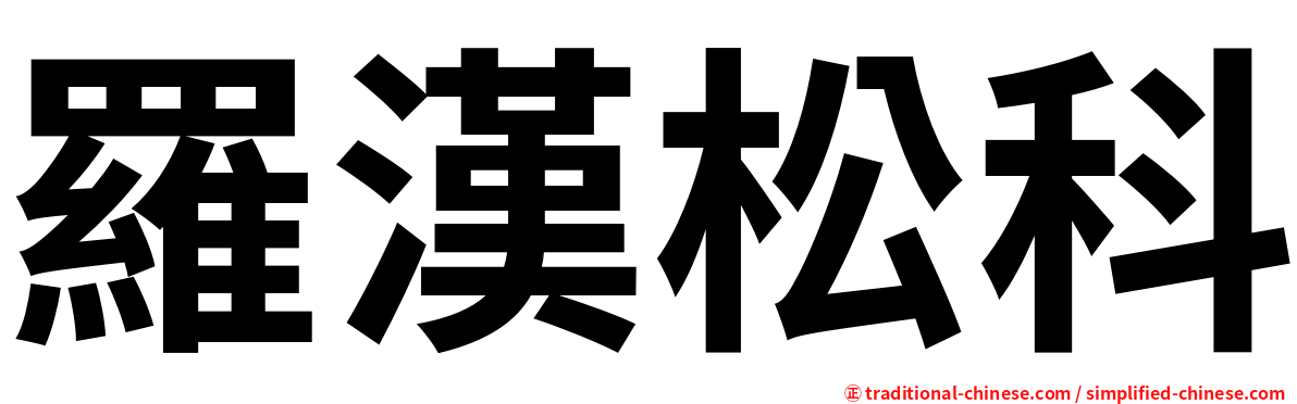 羅漢松科