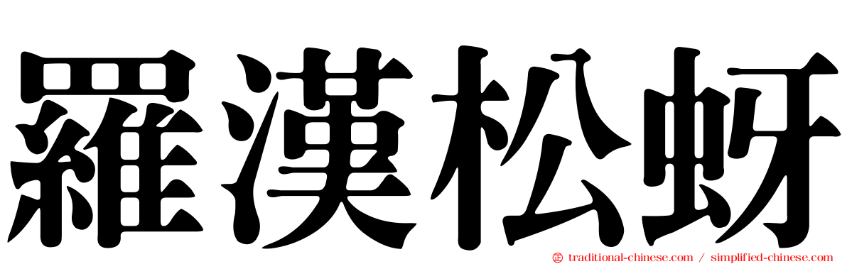羅漢松蚜