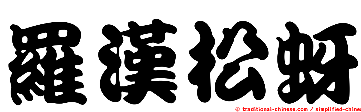 羅漢松蚜