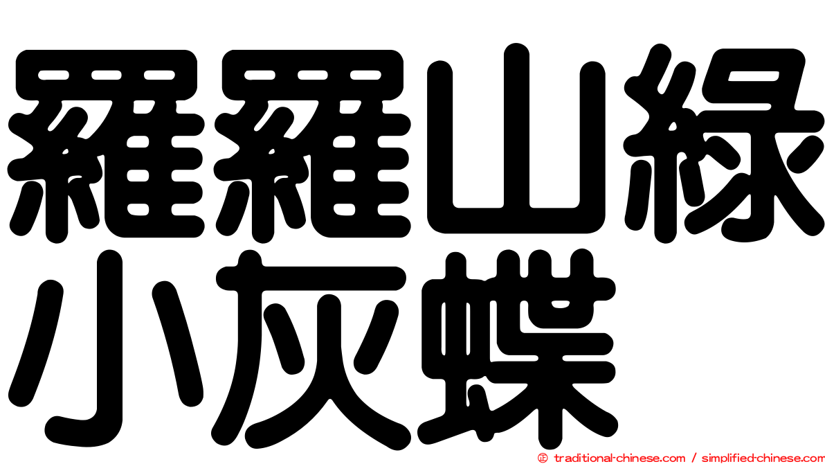 羅羅山綠小灰蝶