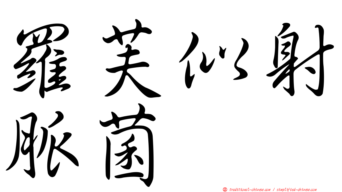 羅芙似射脈菌