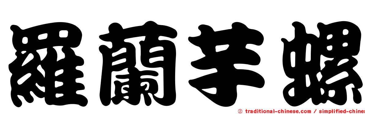 羅蘭芋螺