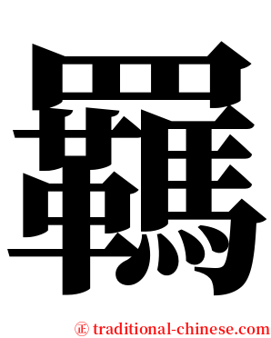 羈 serif font